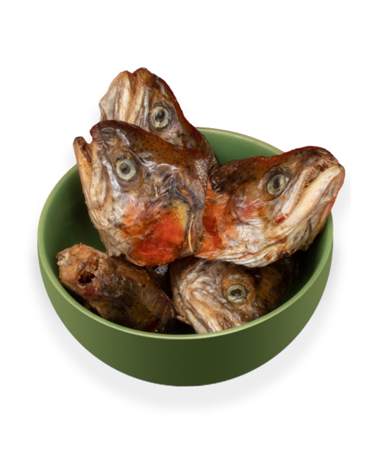 Fishie Noggin